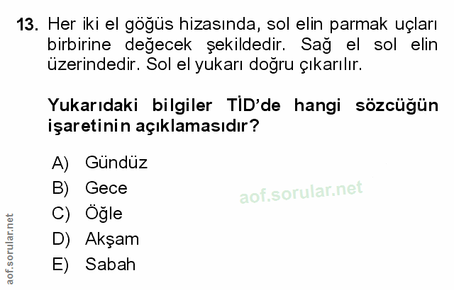 Soru 13