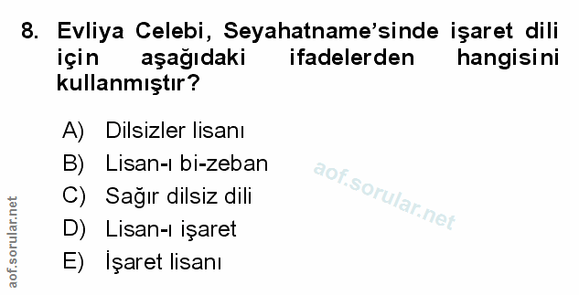 Soru 8