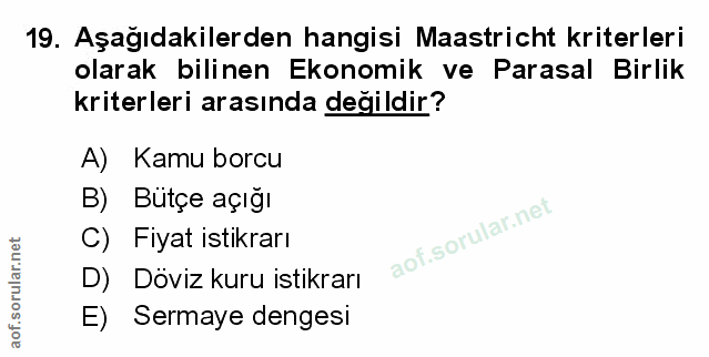 Soru 19
