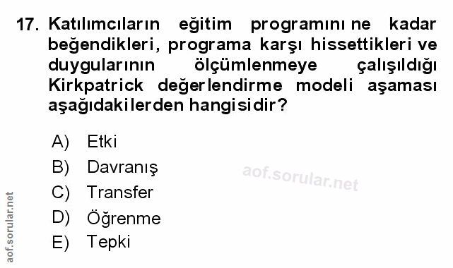 Soru 17