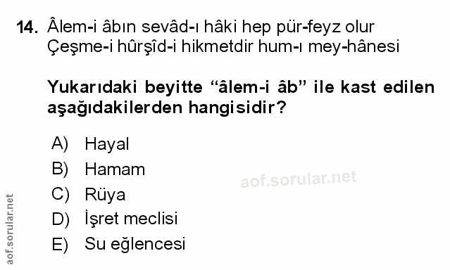 Soru 14