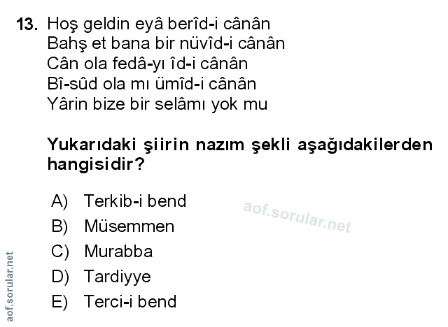Soru 13