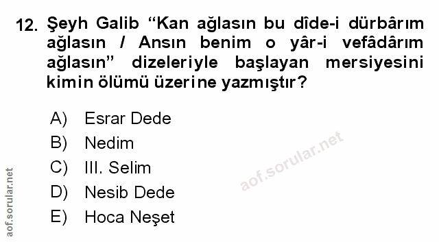 Soru 12