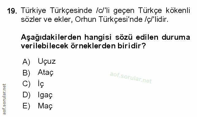 Soru 19