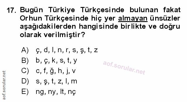 Soru 17