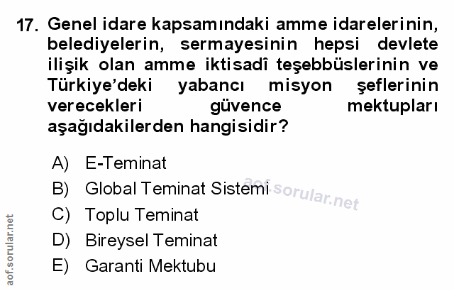 Soru 17