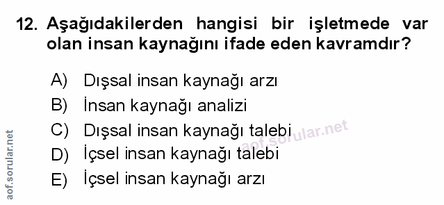 Soru 12