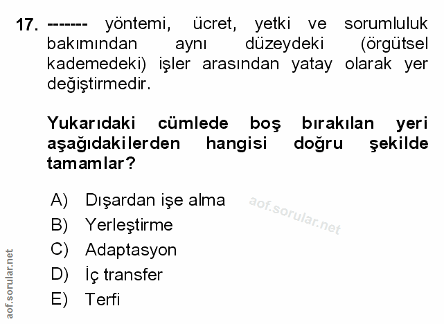 Soru 17