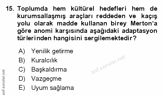 Soru 15