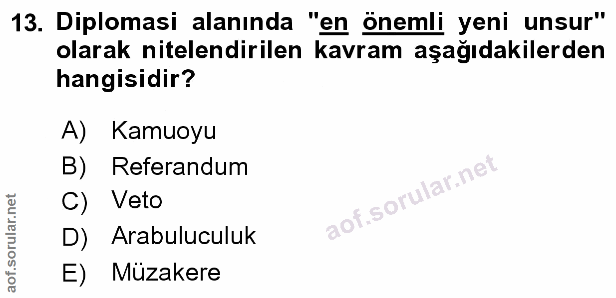 Soru 13