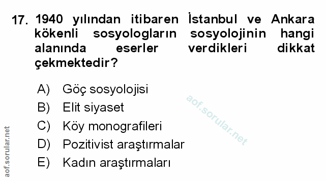 Soru 17