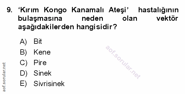 Soru 9