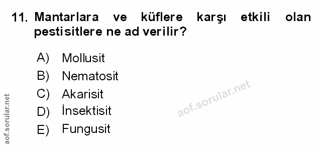 Soru 11