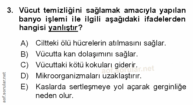 Soru 3