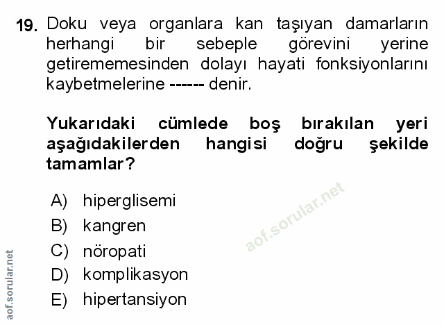 Soru 19