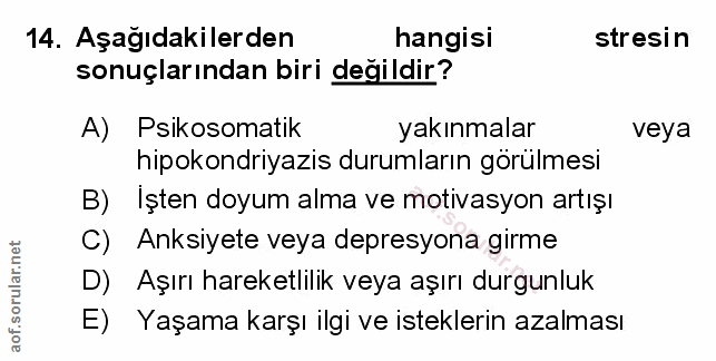 Soru 14