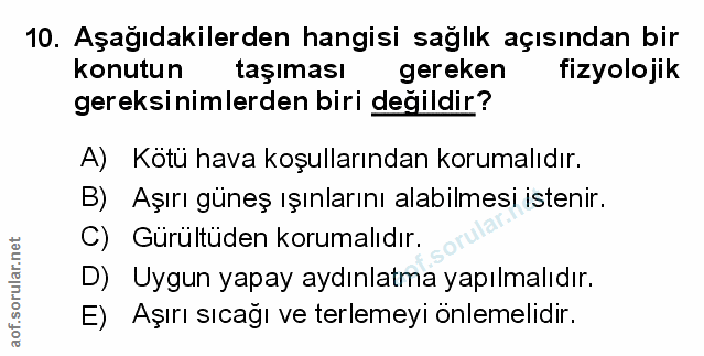 Soru 10