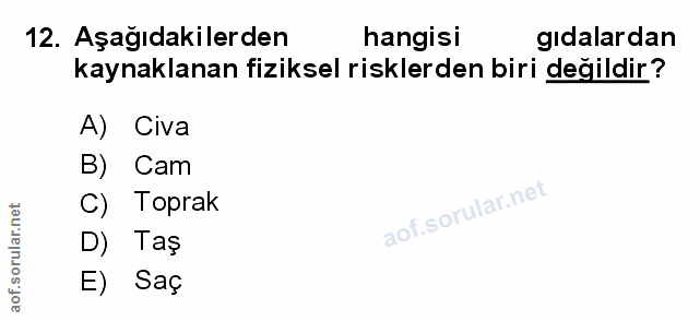 Soru 12