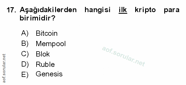 Soru 17