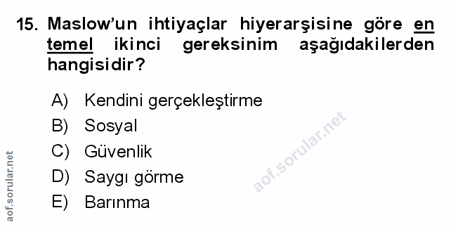 Soru 15