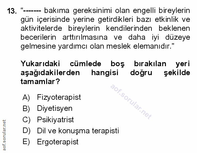 Soru 13