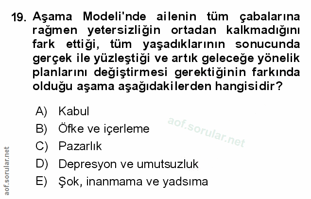 Soru 19
