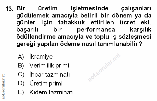Soru 13