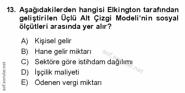 Soru 13