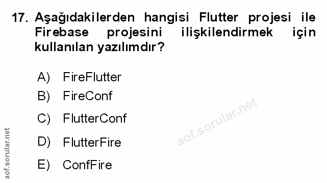 Soru 17