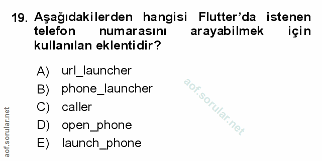 Soru 19