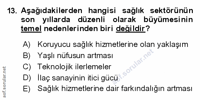 Soru 13
