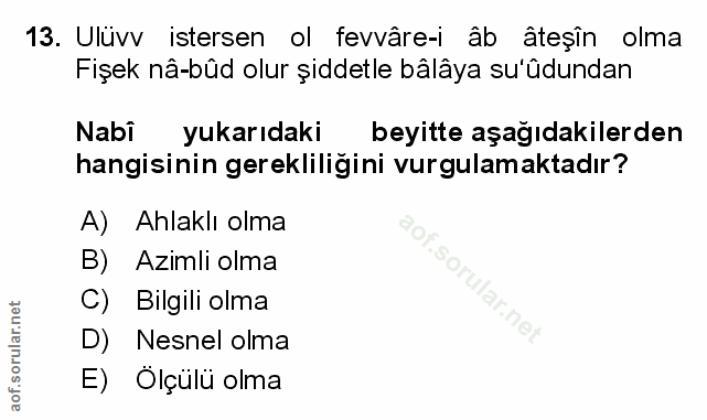 Soru 13