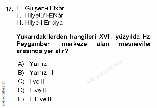 Soru 17