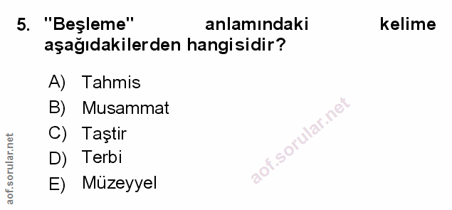 Soru 5