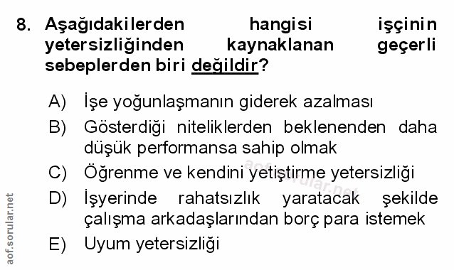 Soru 8