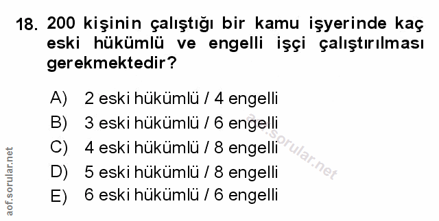 Soru 18