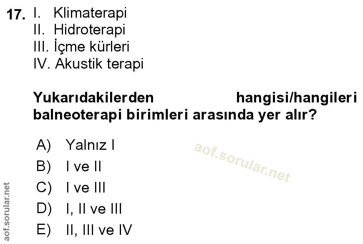 Soru 17