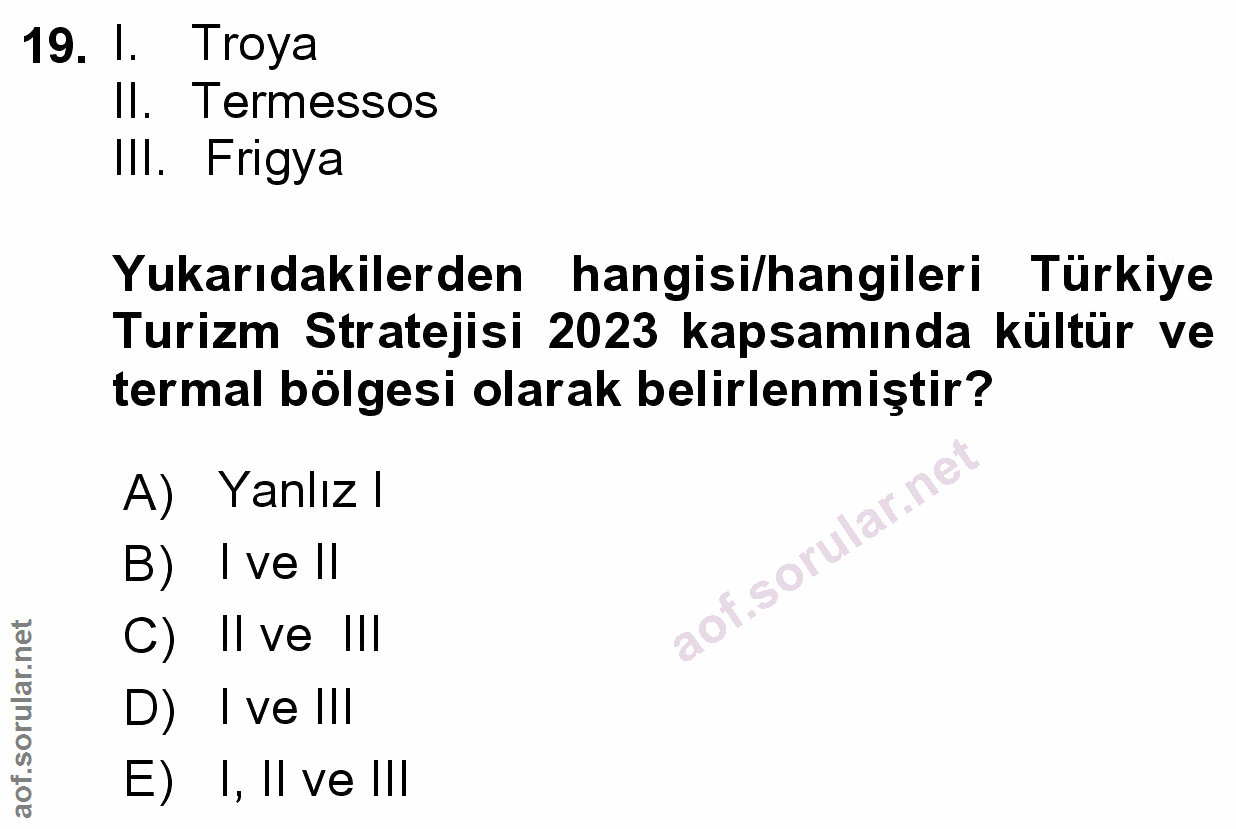 Soru 19