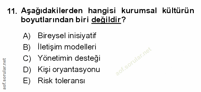 Soru 11