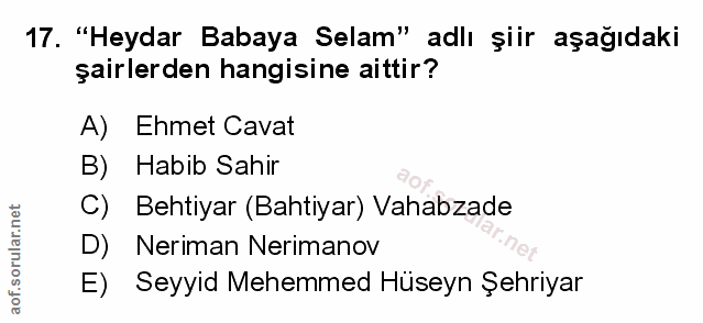 Soru 17