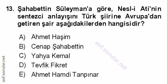 Soru 13