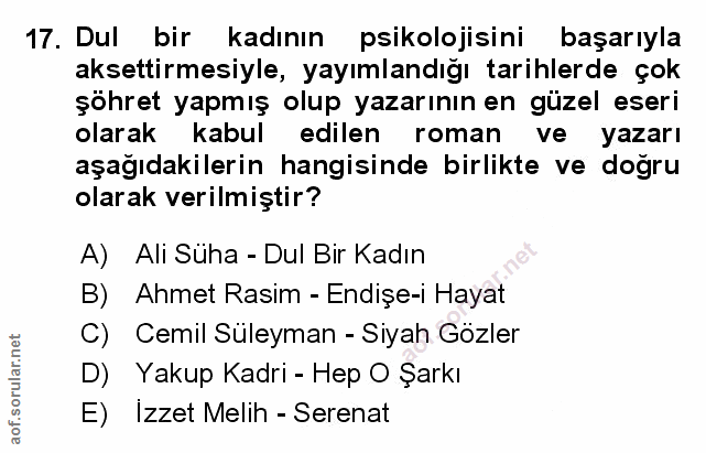 Soru 17