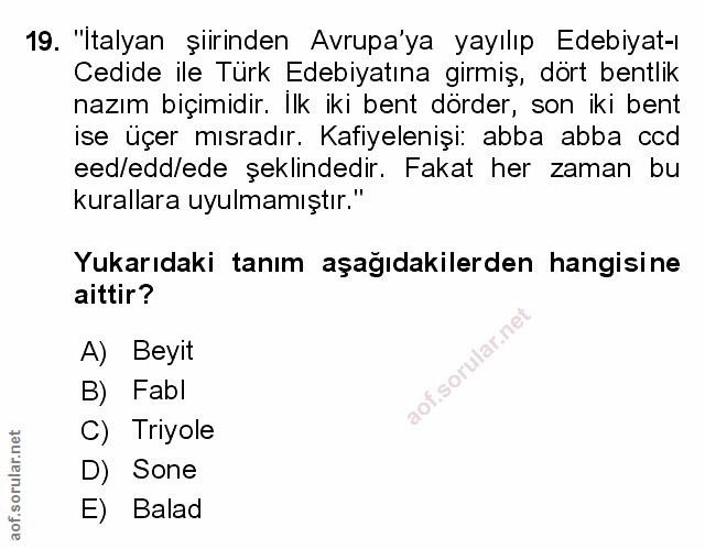 Soru 19