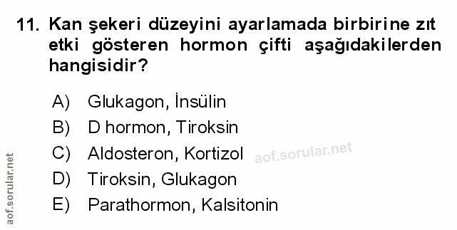 Soru 11