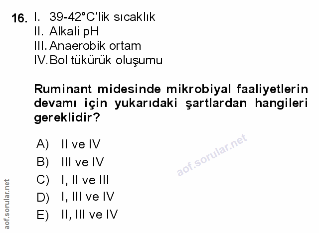 Soru 16