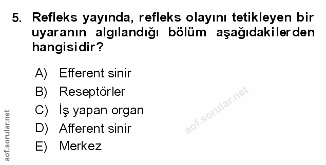 Soru 5