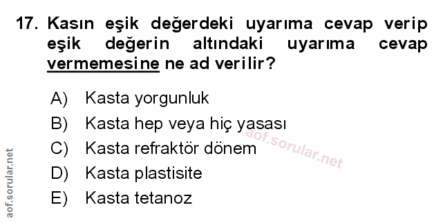 Soru 17