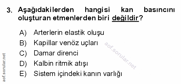 Soru 3