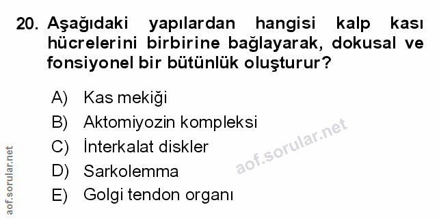 Soru 20