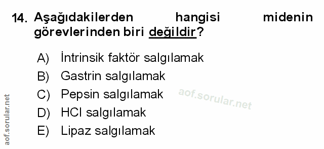 Soru 14